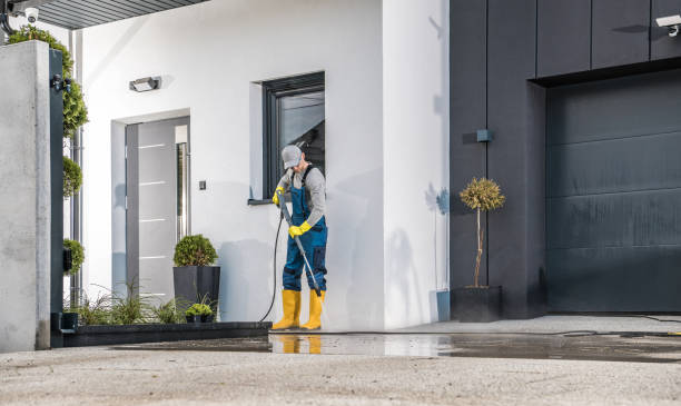 Best Solar Panel Cleaning  in Dayton, TX